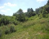 595 Wades Run and Bowlby Road, Morgantown, West Virginia 26501, ,Lots/land,For Sale,Wades Run and Bowlby,10152114