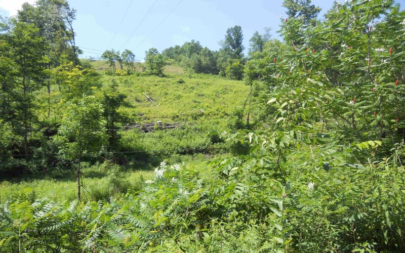 595 Wades Run and Bowlby Road, Morgantown, West Virginia 26501, ,Lots/land,For Sale,Wades Run and Bowlby,10152114