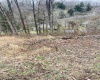 0 STERLING Road, Fairmont, West Virginia 26554, ,Lots/land,For Sale,STERLING,10141893
