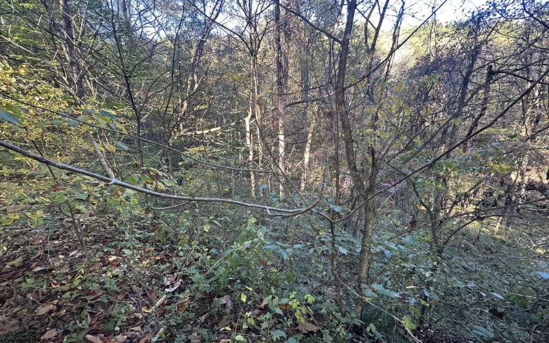 Lot 7 CANNON HILL Road, Rowlesburg, West Virginia 26425, ,Lots/land,For Sale,CANNON HILL,10151474