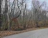 TBD McAtee Drive, Huttonsville, West Virginia 26273, ,Lots/land,For Sale,McAtee,10152423