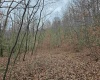 TBD McAtee Drive, Huttonsville, West Virginia 26273, ,Lots/land,For Sale,McAtee,10152423