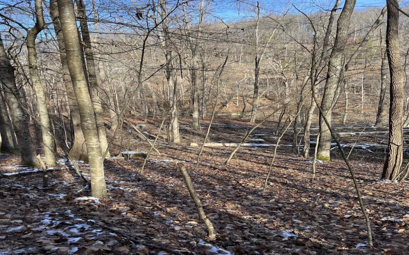 00 Glassworks Road, Buckhannon, West Virginia 26201, ,Lots/land,For Sale,Glassworks,10152448