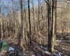 00 Glassworks Road, Buckhannon, West Virginia 26201, ,Lots/land,For Sale,Glassworks,10152448