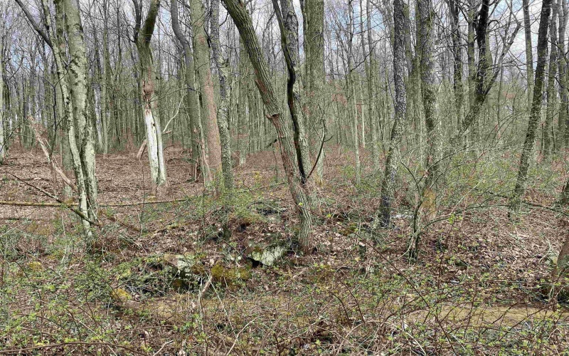 Lot 23 Hobbits Glenn Estates, Masontown, West Virginia 26542, ,Lots/land,For Sale,Hobbits Glenn,10152470