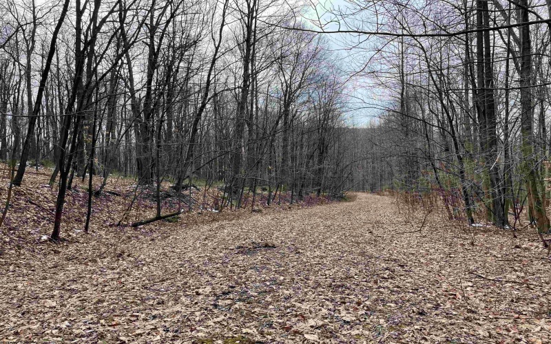 Lot 23 Hobbits Glenn Estates, Masontown, West Virginia 26542, ,Lots/land,For Sale,Hobbits Glenn,10152470