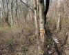 Lot 23 Hobbits Glenn Estates, Masontown, West Virginia 26542, ,Lots/land,For Sale,Hobbits Glenn,10152470