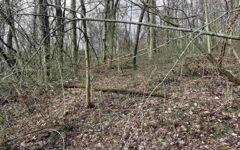 Lot 23 Hobbits Glenn Estates, Masontown, West Virginia 26542, ,Lots/land,For Sale,Hobbits Glenn,10152470