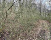 Lot 23 Hobbits Glenn Estates, Masontown, West Virginia 26542, ,Lots/land,For Sale,Hobbits Glenn,10152470