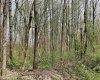 Lot 28 Hobbits Glenn Estates, Masontown, West Virginia 26542, ,Lots/land,For Sale,Hobbits Glenn,10152471