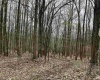 Lot 28 Hobbits Glenn Estates, Masontown, West Virginia 26542, ,Lots/land,For Sale,Hobbits Glenn,10152471