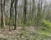 Lot 28 Hobbits Glenn Estates, Masontown, West Virginia 26542, ,Lots/land,For Sale,Hobbits Glenn,10152471