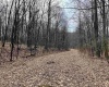 Lot 28 Hobbits Glenn Estates, Masontown, West Virginia 26542, ,Lots/land,For Sale,Hobbits Glenn,10152471