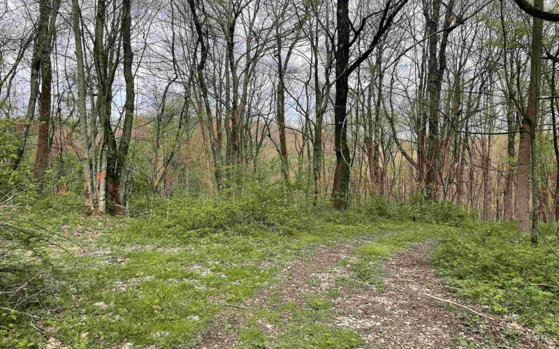 Lot 28 Hobbits Glenn Estates, Masontown, West Virginia 26542, ,Lots/land,For Sale,Hobbits Glenn,10152471