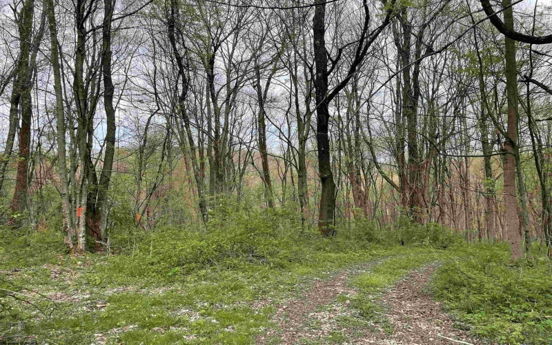 Lot 28 Hobbits Glenn Estates, Masontown, West Virginia 26542, ,Lots/land,For Sale,Hobbits Glenn,10152471