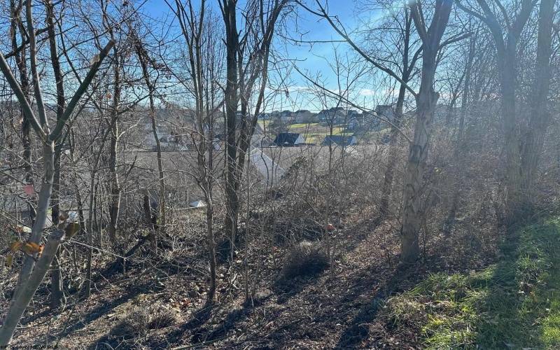 TBD Five Forks Drive, Morgantown, West Virginia 26508, ,Lots/land,For Sale,Five Forks,10152485