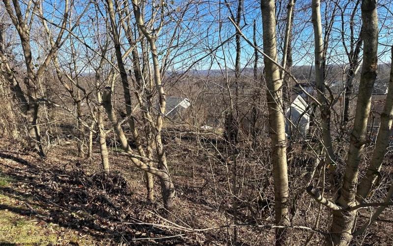 TBD Five Forks Drive, Morgantown, West Virginia 26508, ,Lots/land,For Sale,Five Forks,10152485