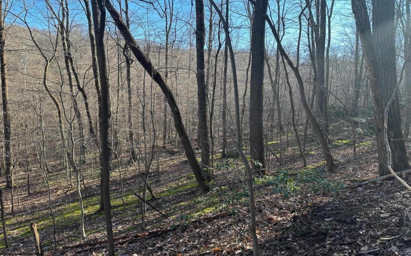 TBD Kaylan Drive, Morgantown, West Virginia 26508, ,Lots/land,For Sale,Kaylan,10152488