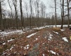 TBD Hudson Mill Road, Albright, West Virginia 26519, ,Lots/land,For Sale,Hudson Mill,10152501