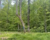 TBD Hudson Mill Road, Albright, West Virginia 26519, ,Lots/land,For Sale,Hudson Mill,10152501