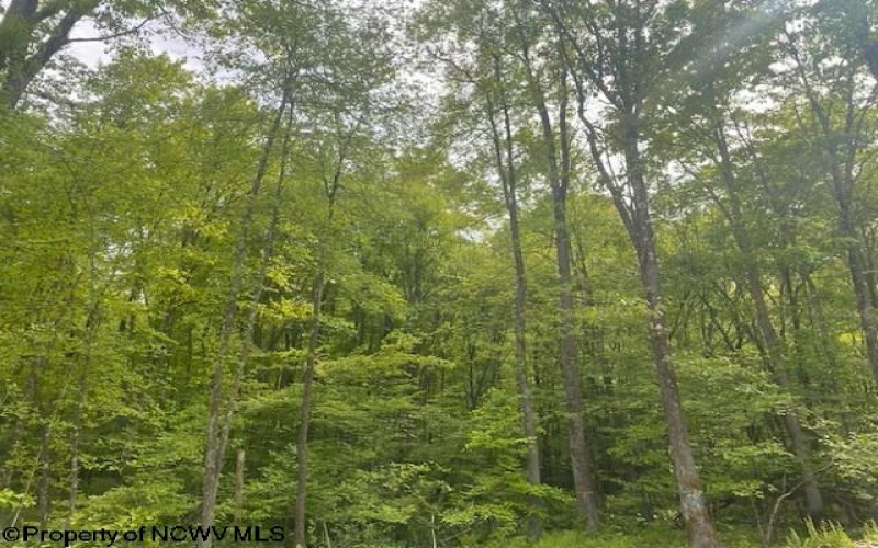 TBD Hudson Mill Road, Albright, West Virginia 26519, ,Lots/land,For Sale,Hudson Mill,10152501