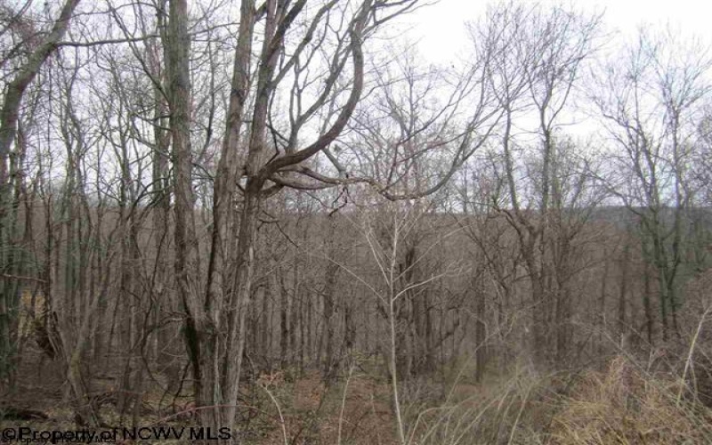 0 Lubbuck Lane, Morgantown, West Virginia 26508, ,Lots/land,For Sale,Lubbuck,10152509