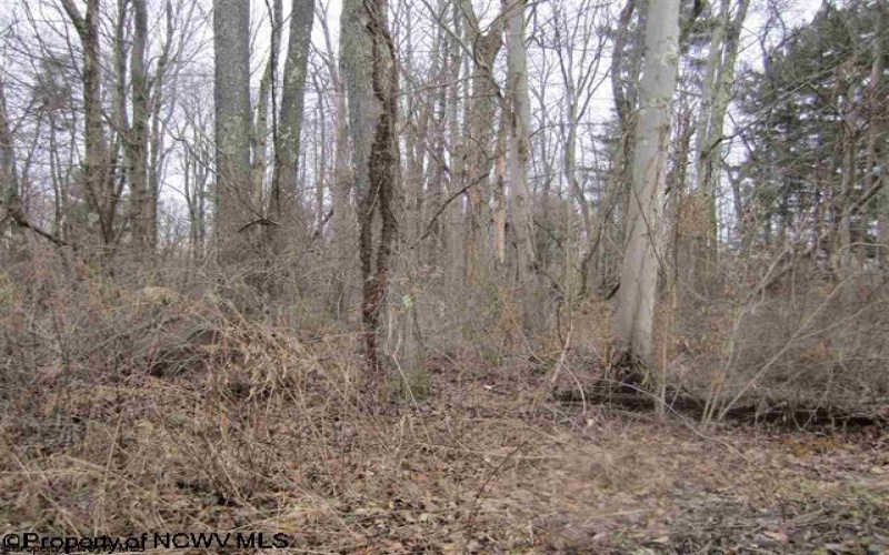 0 Lubbuck Lane, Morgantown, West Virginia 26508, ,Lots/land,For Sale,Lubbuck,10152509