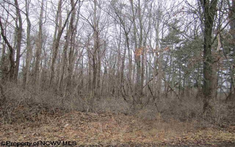 0 Lubbuck Lane, Morgantown, West Virginia 26508, ,Lots/land,For Sale,Lubbuck,10152509