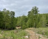 1200A Sand Bank Road, Morgantown, West Virginia 26508, ,Lots/land,For Sale,Sand Bank,10150782
