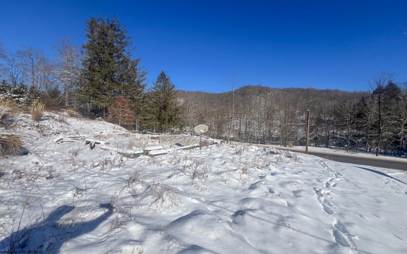 15090 Route 20 Highway, Rock Cave, West Virginia 26234, ,Lots/land,For Sale,Route 20,10152550