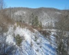 15090 Route 20 Highway, Rock Cave, West Virginia 26234, ,Lots/land,For Sale,Route 20,10152550