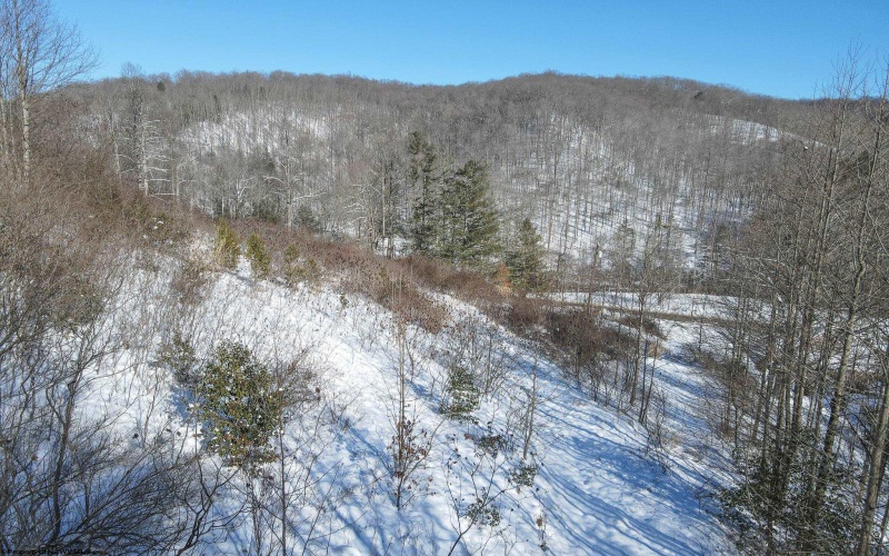 15090 Route 20 Highway, Rock Cave, West Virginia 26234, ,Lots/land,For Sale,Route 20,10152550