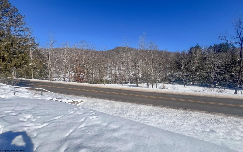 15090 Route 20 Highway, Rock Cave, West Virginia 26234, ,Lots/land,For Sale,Route 20,10152550