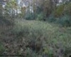 2410 Buckhannon Pike, Mount Clare, West Virginia 26408, ,Lots/land,For Sale,Buckhannon,10152554