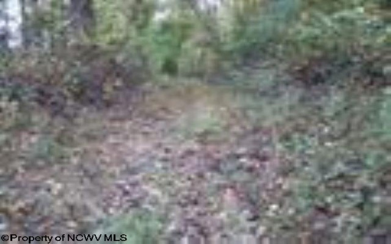 2410 Buckhannon Pike, Mount Clare, West Virginia 26408, ,Lots/land,For Sale,Buckhannon,10152554