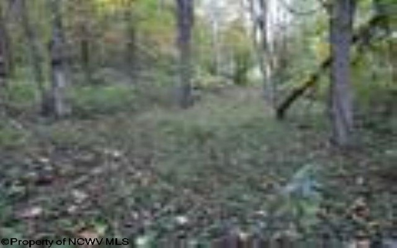 2410 Buckhannon Pike, Mount Clare, West Virginia 26408, ,Lots/land,For Sale,Buckhannon,10152554