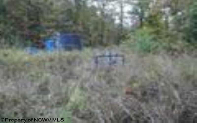 2410 Buckhannon Pike, Mount Clare, West Virginia 26408, ,Lots/land,For Sale,Buckhannon,10152554