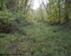 2410 Buckhannon Pike, Mount Clare, West Virginia 26408, ,Lots/land,For Sale,Buckhannon,10152554