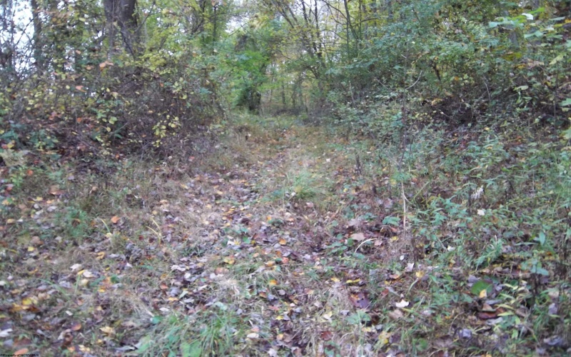 2410 Buckhannon Pike, Mount Clare, West Virginia 26408, ,Lots/land,For Sale,Buckhannon,10152554