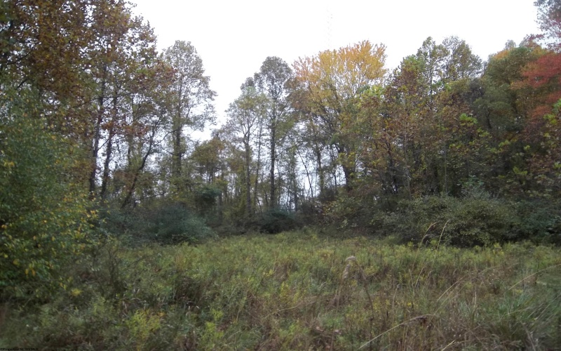 2410 Buckhannon Pike, Mount Clare, West Virginia 26408, ,Lots/land,For Sale,Buckhannon,10152554