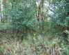 2410 Buckhannon Pike, Mount Clare, West Virginia 26408, ,Lots/land,For Sale,Buckhannon,10152554