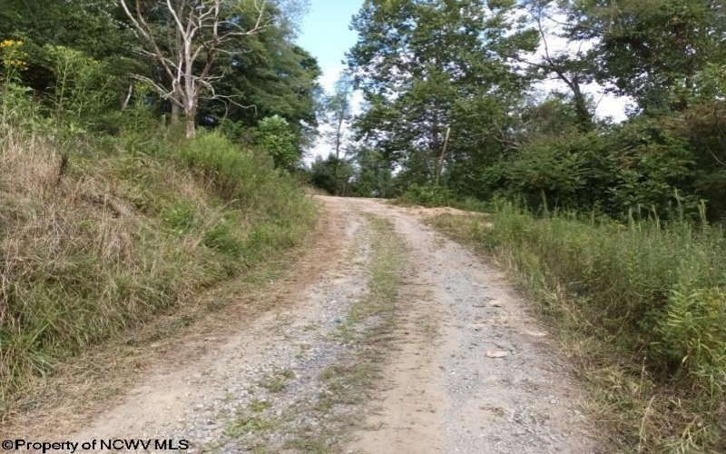 2410 Buckhannon Pike, Mount Clare, West Virginia 26408, ,Lots/land,For Sale,Buckhannon,10152554