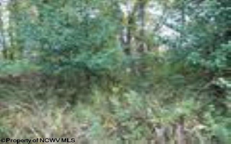 2410 Buckhannon Pike, Mount Clare, West Virginia 26408, ,Lots/land,For Sale,Buckhannon,10152554