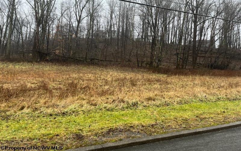 B-5R Meadowland Drive, Morgantown, West Virginia 26505, ,Lots/land,For Sale,Meadowland,10152591