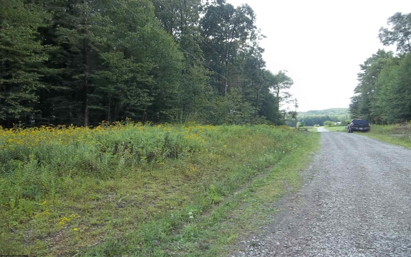 LOT 19 Hemlock Ridge Road, Terra Alta, West Virginia 26764, ,Lots/land,For Sale,Hemlock Ridge,10152599