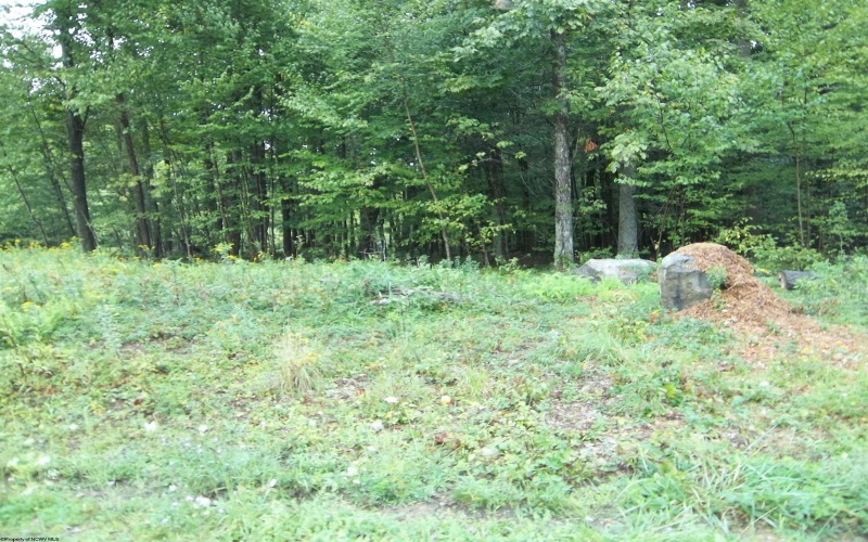 LOT 19 Hemlock Ridge Road, Terra Alta, West Virginia 26764, ,Lots/land,For Sale,Hemlock Ridge,10152599