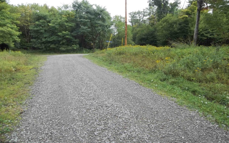 LOT 19 Hemlock Ridge Road, Terra Alta, West Virginia 26764, ,Lots/land,For Sale,Hemlock Ridge,10152599