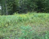 LOT 19 Hemlock Ridge Road, Terra Alta, West Virginia 26764, ,Lots/land,For Sale,Hemlock Ridge,10152599