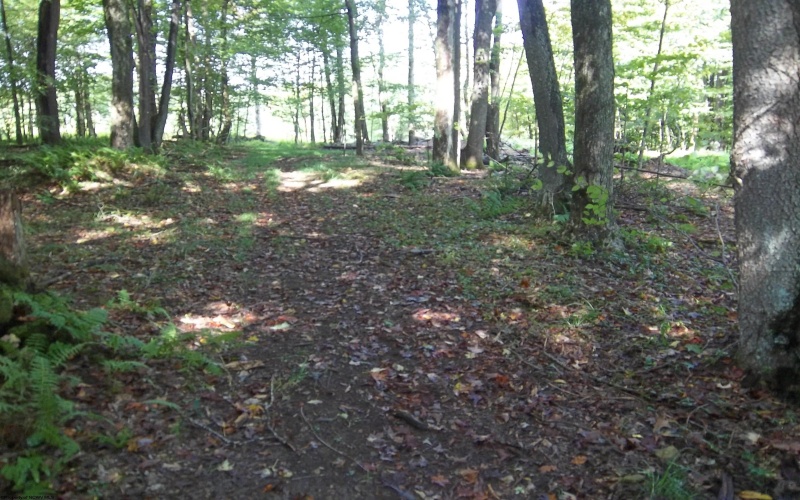 LOT 19 Hemlock Ridge Road, Terra Alta, West Virginia 26764, ,Lots/land,For Sale,Hemlock Ridge,10152599