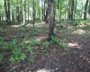 LOT 19 Hemlock Ridge Road, Terra Alta, West Virginia 26764, ,Lots/land,For Sale,Hemlock Ridge,10152599